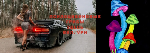 гашик Балабаново