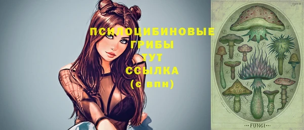 гашик Балабаново