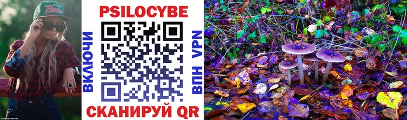 ОМГ ОМГ как войти  закладка  Волжск  Галлюциногенные грибы мухоморы 